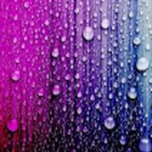 Meet your Posher, Adreianna